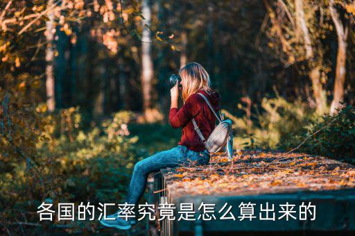 各國(guó)的匯率究竟是怎么算出來的