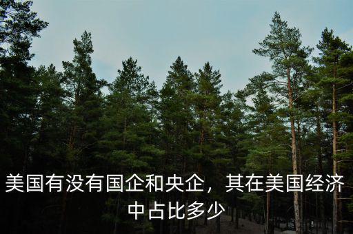美國有沒有國企和央企，其在美國經(jīng)濟(jì)中占比多少