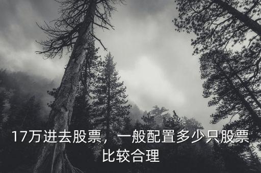 17萬進去股票，一般配置多少只股票比較合理