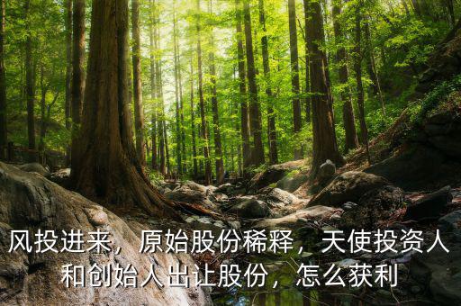 風(fēng)投進(jìn)來，原始股份稀釋，天使投資人和創(chuàng)始人出讓股份，怎么獲利
