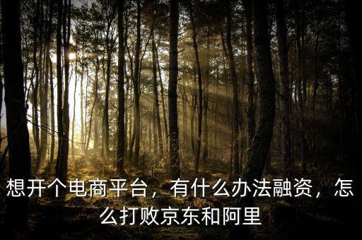 想開個電商平臺，有什么辦法融資，怎么打敗京東和阿里