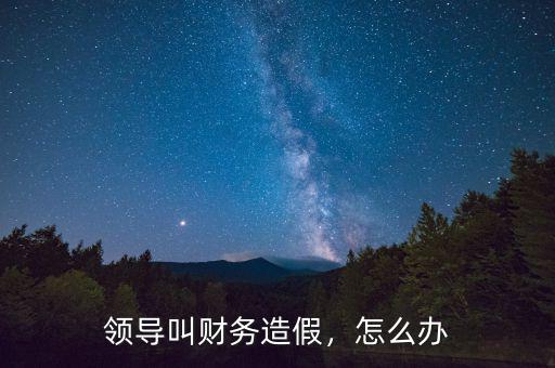 領(lǐng)導(dǎo)叫財務(wù)造假，怎么辦