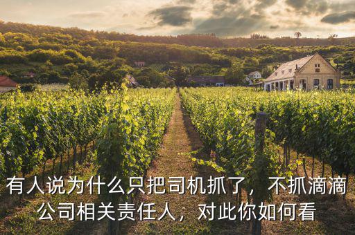 有人說為什么只把司機(jī)抓了，不抓滴滴公司相關(guān)責(zé)任人，對(duì)此你如何看