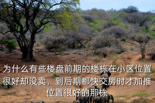 為什么有些樓盤前期的樓棟在小區(qū)位置很好卻沒(méi)賣，到后期都快交房時(shí)才加推位置很好的那棟