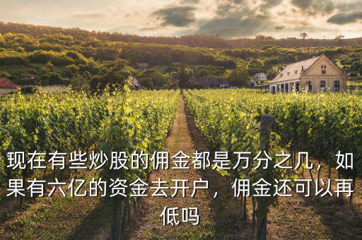 現(xiàn)在有些炒股的傭金都是萬分之幾，如果有六億的資金去開戶，傭金還可以再低嗎