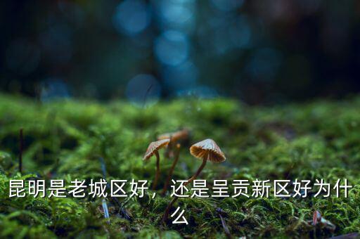 昆明是老城區(qū)好，還是呈貢新區(qū)好為什么