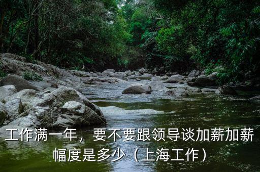 工作滿一年，要不要跟領(lǐng)導(dǎo)談加薪加薪幅度是多少（上海工作）