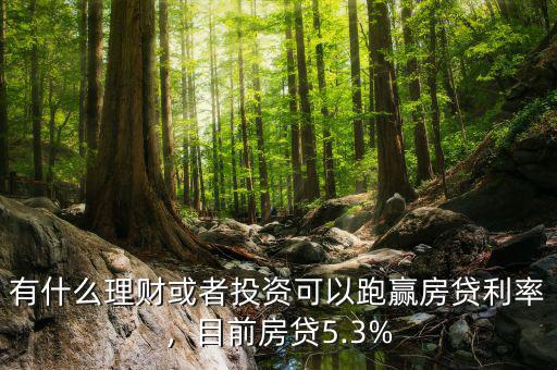 有什么理財或者投資可以跑贏房貸利率，目前房貸5.3%