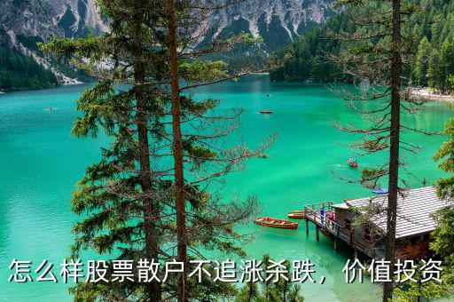 怎么樣股票散戶不追漲殺跌，價值投資