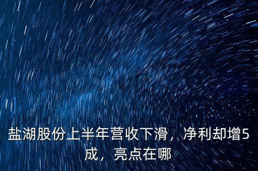 鹽湖股份上半年營收下滑，凈利卻增5成，亮點在哪