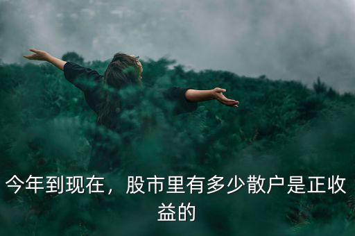 今年到現(xiàn)在，股市里有多少散戶是正收益的