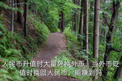 人民幣升值時(shí)大量兌換外幣，當(dāng)外幣貶值時(shí)換回人民幣，能賺到嗎