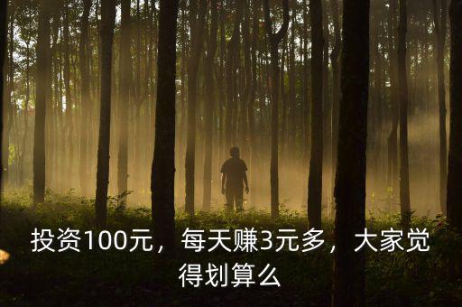 投資100元，每天賺3元多，大家覺得劃算么