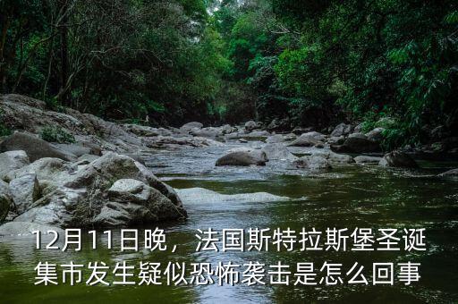 12月11日晚，法國(guó)斯特拉斯堡圣誕集市發(fā)生疑似恐怖襲擊是怎么回事