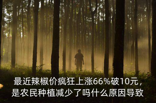 最近辣椒價(jià)瘋狂上漲66%破10元，是農(nóng)民種植減少了嗎什么原因?qū)е? class=
