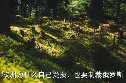 歐洲為什么自己受損，也要制裁俄羅斯