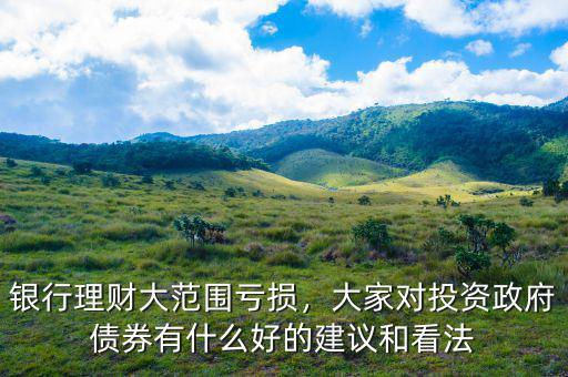 銀行理財大范圍虧損，大家對投資政府債券有什么好的建議和看法