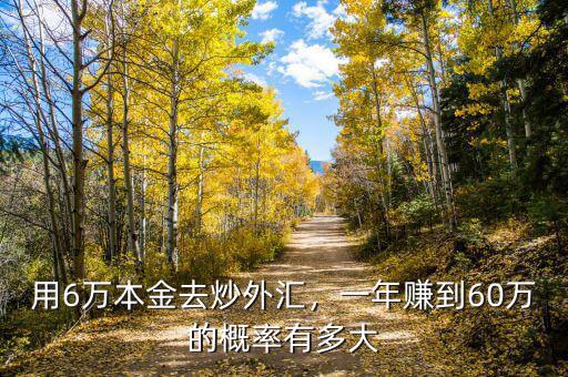 用6萬本金去炒外匯，一年賺到60萬的概率有多大