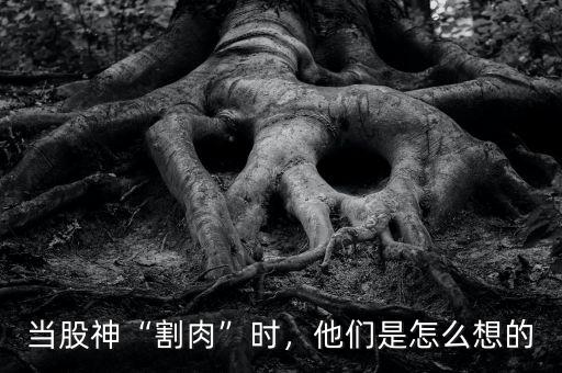 當(dāng)股神“割肉”時，他們是怎么想的