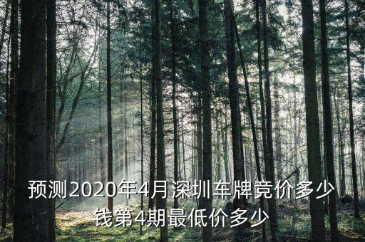 預(yù)測(cè)2020年4月深圳車(chē)牌競(jìng)價(jià)多少錢(qián)第4期最低價(jià)多少
