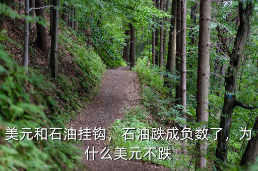 美元和石油掛鉤，石油跌成負(fù)數(shù)了，為什么美元不跌