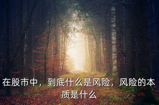 在股市中，到底什么是風(fēng)險(xiǎn)，風(fēng)險(xiǎn)的本質(zhì)是什么