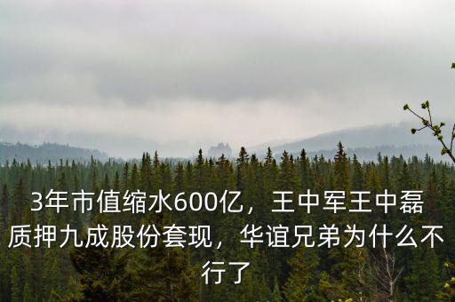 3年市值縮水600億，王中軍王中磊質(zhì)押九成股份套現(xiàn)，華誼兄弟為什么不行了