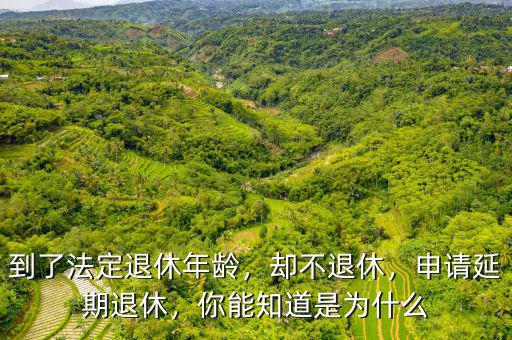 到了法定退休年齡，卻不退休，申請延期退休，你能知道是為什么