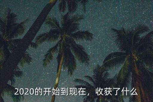 2020的開(kāi)始到現(xiàn)在，收獲了什么