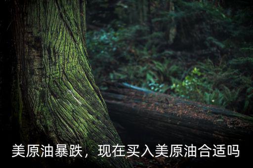 美原油暴跌，現(xiàn)在買入美原油合適嗎