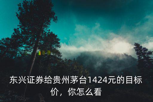東興證券給貴州茅臺1424元的目標價，你怎么看