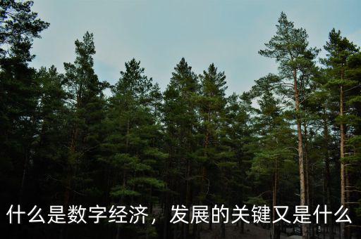 什么是數(shù)字經(jīng)濟(jì)，發(fā)展的關(guān)鍵又是什么