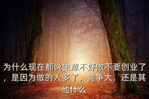 為什么現(xiàn)在都說生意不好做不要創(chuàng)業(yè)了，是因為做的人多了，競爭大，還是其他什么