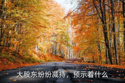 大股東紛紛減持，預(yù)示著什么