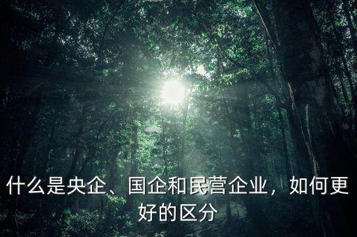 什么是央企、國企和民營企業(yè)，如何更好的區(qū)分