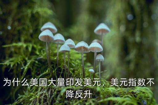 為什么美國大量印發(fā)美元，美元指數(shù)不降反升