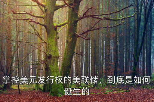 掌控美元發(fā)行權(quán)的美聯(lián)儲，到底是如何誕生的
