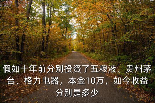 假如十年前分別投資了五糧液、貴州茅臺(tái)、格力電器，本金10萬，如今收益分別是多少