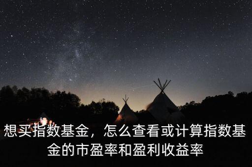 想買指數(shù)基金，怎么查看或計(jì)算指數(shù)基金的市盈率和盈利收益率