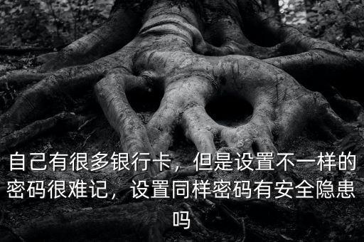 自己有很多銀行卡，但是設(shè)置不一樣的密碼很難記，設(shè)置同樣密碼有安全隱患嗎
