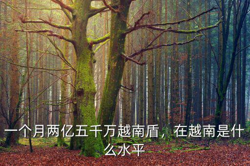 一個(gè)月兩億五千萬(wàn)越南盾，在越南是什么水平
