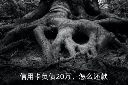 信用卡負(fù)債20萬，怎么還款