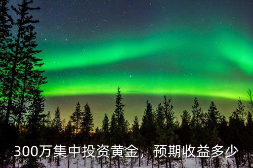 300萬集中投資黃金，預期收益多少