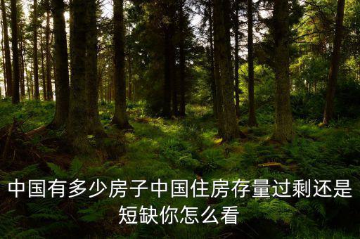 中國(guó)有多少房子中國(guó)住房存量過(guò)剩還是短缺你怎么看