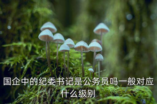 國(guó)企中的紀(jì)委書(shū)記是公務(wù)員嗎一般對(duì)應(yīng)什么級(jí)別