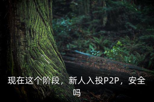 現(xiàn)在這個階段，新人入投P2P，安全嗎