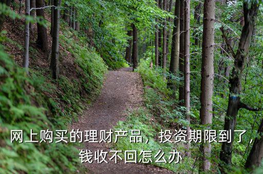 網(wǎng)上購買的理財產(chǎn)品，投資期限到了，錢收不回怎么辦
