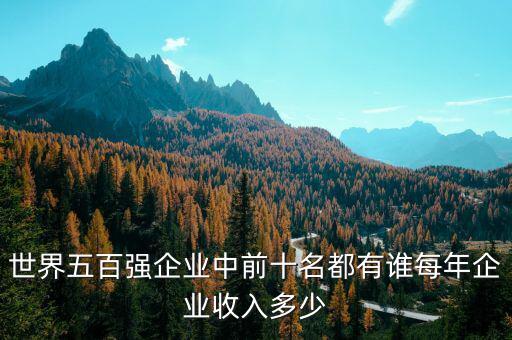 世界五百強企業(yè)中前十名都有誰每年企業(yè)收入多少