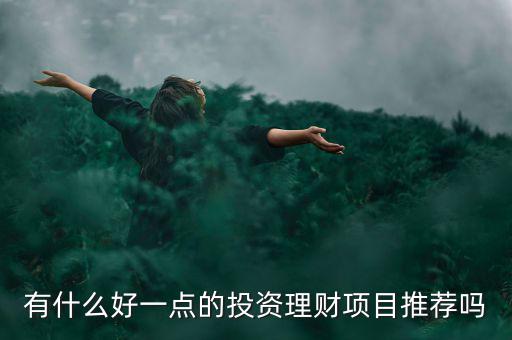 有什么好一點(diǎn)的投資理財項(xiàng)目推薦嗎