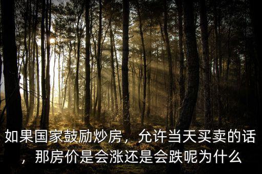 如果國(guó)家鼓勵(lì)炒房，允許當(dāng)天買賣的話，那房?jī)r(jià)是會(huì)漲還是會(huì)跌呢為什么